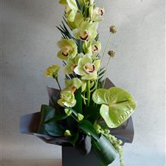  Exotic Orchid Box Arrangement