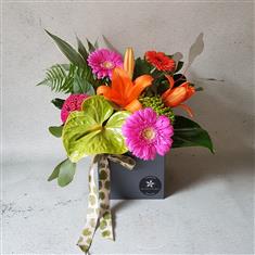 A Little Tropical Paradise Arrangement