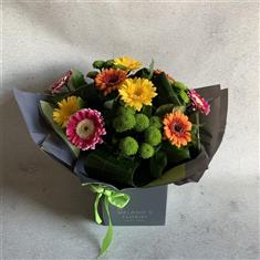 Zingy Gerberas