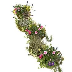 Natural Planted Arrangement