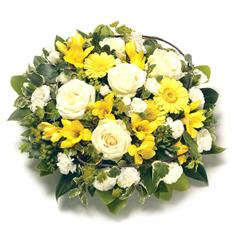 Yellow Posy