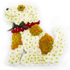 Dog Tribute