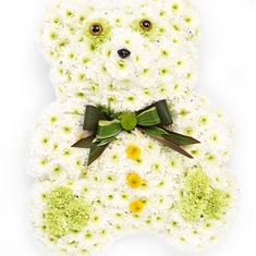 Teddy Bear