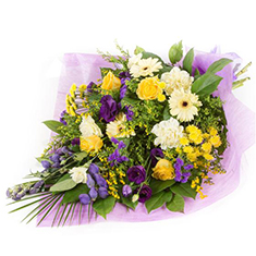 Purple &amp; Gold FFC