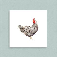 Speckled Hen