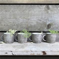 Boxed Rustic Jug