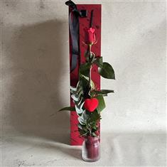 Crazy Love Single Red Rose