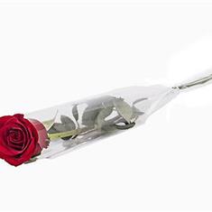 Single Rose Wrapped