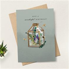 Lantern Terrarium Birthday