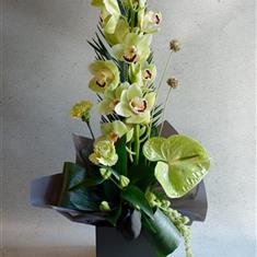  Exotic Green Orchid Box Arrangement 