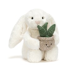 Bashful Cream Bunny with Plant