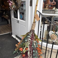 Witches Broom