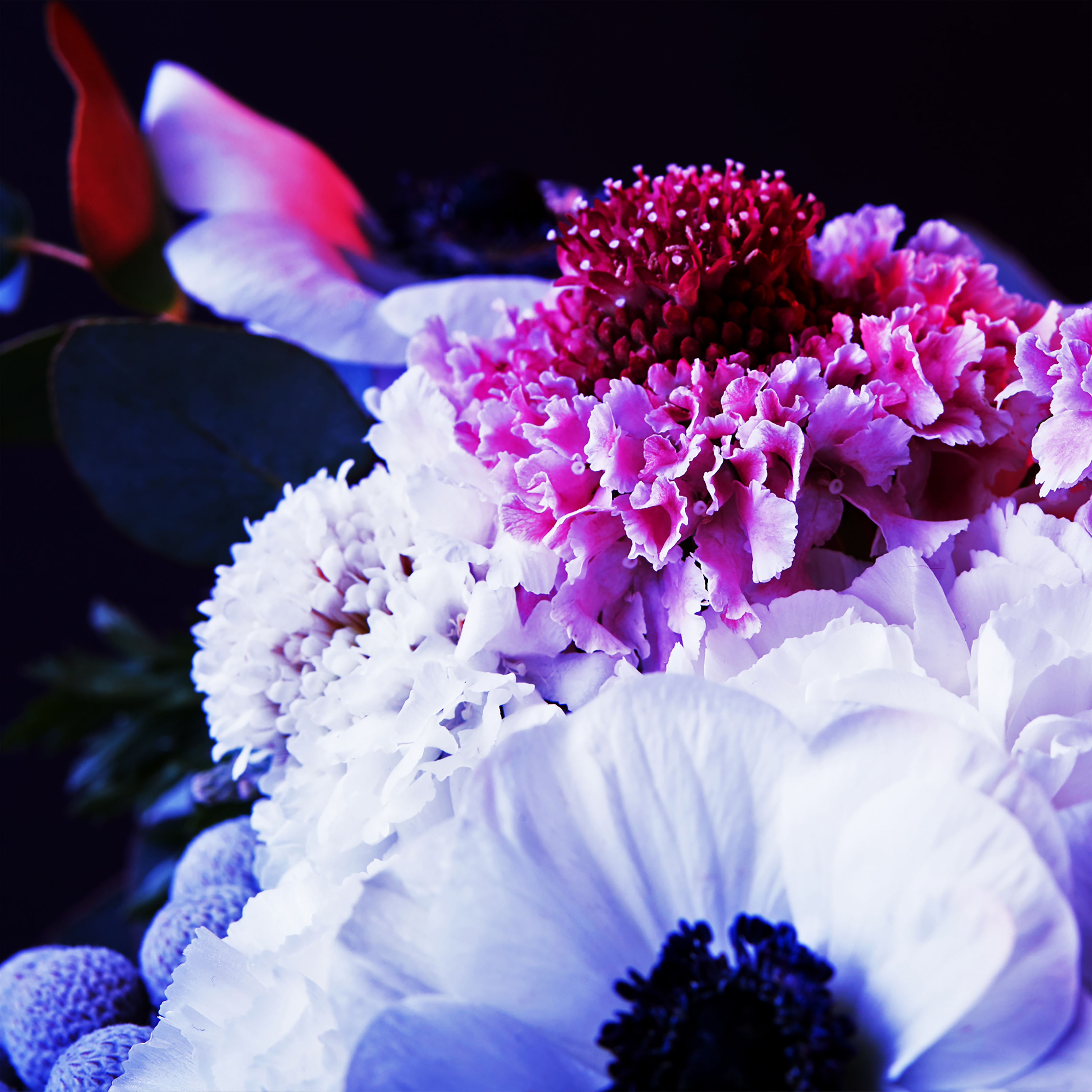 Melanie's Florist