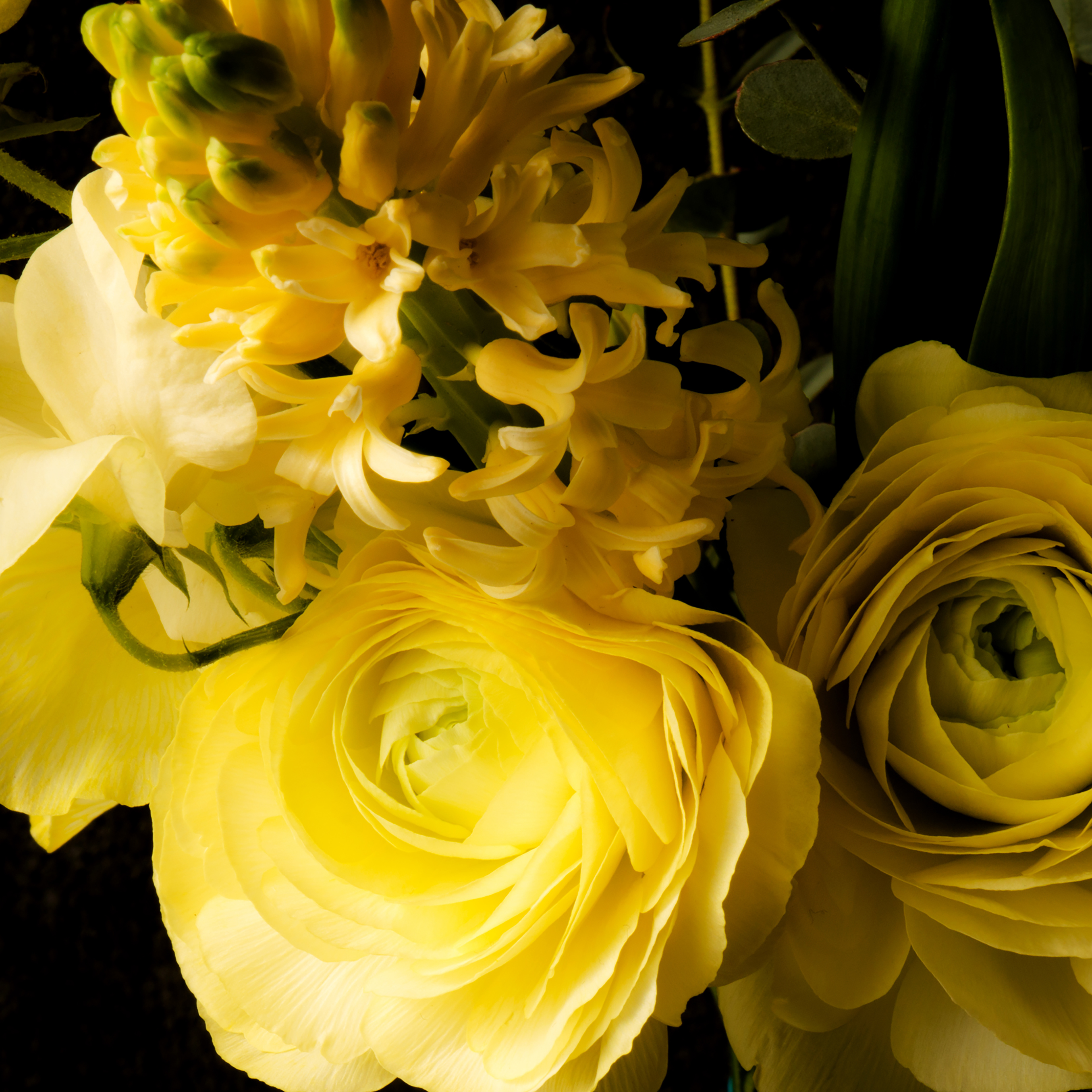 Melanie's Florist