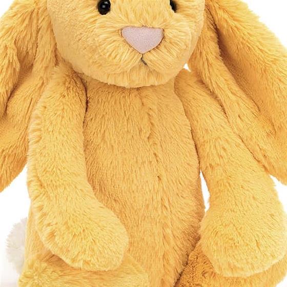 Bashful Sunshine Bunny Melanie's Florist Tadcaster